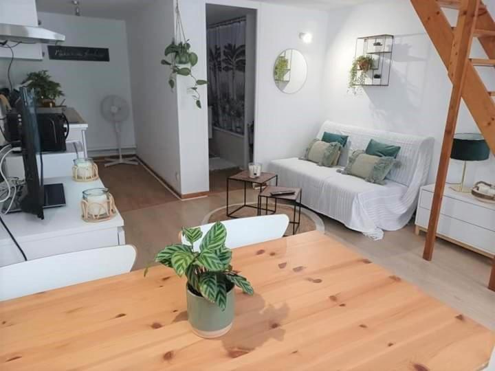 Duplex A La Gare Du Mans Bed & Breakfast Le Mans Bagian luar foto